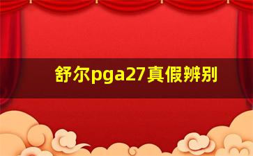 舒尔pga27真假辨别