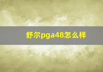 舒尔pga48怎么样