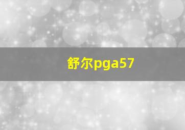 舒尔pga57