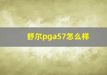 舒尔pga57怎么样