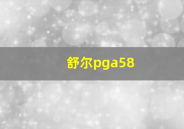 舒尔pga58