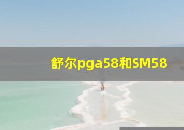 舒尔pga58和SM58