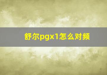 舒尔pgx1怎么对频