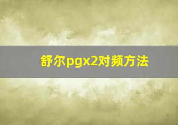 舒尔pgx2对频方法