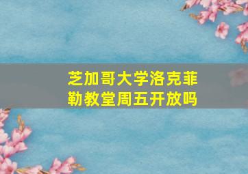 芝加哥大学洛克菲勒教堂周五开放吗