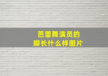 芭蕾舞演员的脚长什么样图片