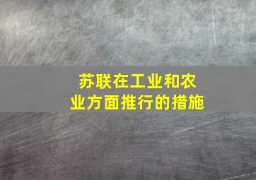 苏联在工业和农业方面推行的措施