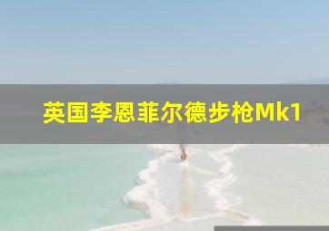 英国李恩菲尔德步枪Mk1