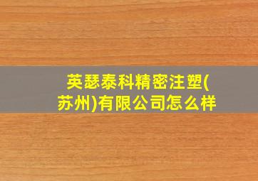 英瑟泰科精密注塑(苏州)有限公司怎么样