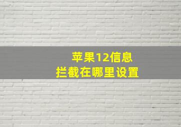 苹果12信息拦截在哪里设置