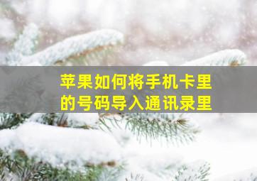 苹果如何将手机卡里的号码导入通讯录里