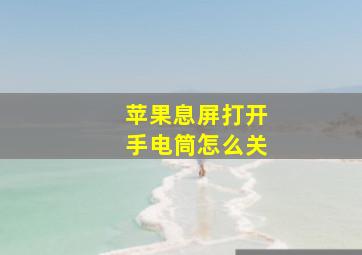 苹果息屏打开手电筒怎么关