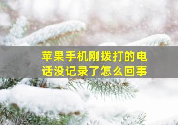 苹果手机刚拨打的电话没记录了怎么回事