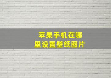 苹果手机在哪里设置壁纸图片