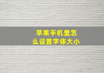 苹果手机里怎么设置字体大小