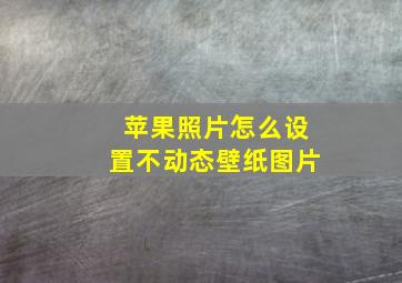 苹果照片怎么设置不动态壁纸图片