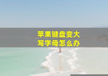 苹果键盘变大写字母怎么办