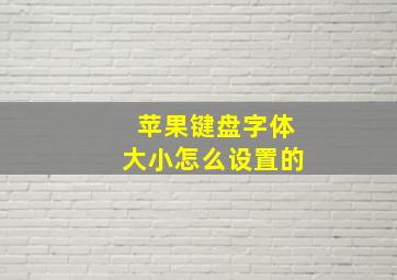 苹果键盘字体大小怎么设置的