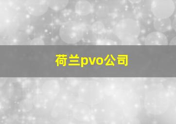 荷兰pvo公司