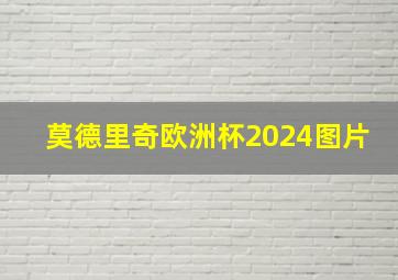 莫德里奇欧洲杯2024图片