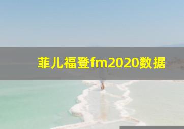 菲儿福登fm2020数据