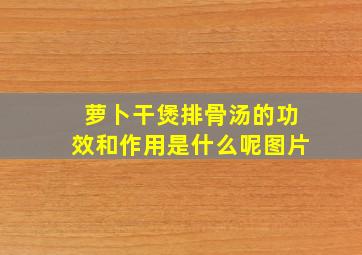 萝卜干煲排骨汤的功效和作用是什么呢图片