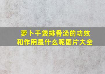 萝卜干煲排骨汤的功效和作用是什么呢图片大全