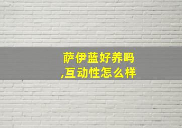 萨伊蓝好养吗,互动性怎么样