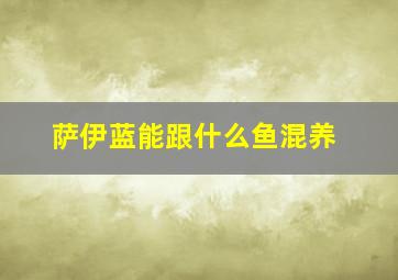 萨伊蓝能跟什么鱼混养