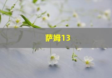 萨姆13