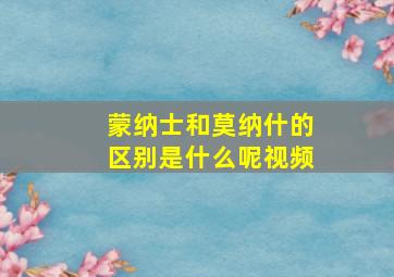 蒙纳士和莫纳什的区别是什么呢视频