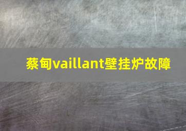 蔡甸vaillant壁挂炉故障