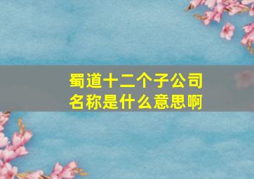 蜀道十二个子公司名称是什么意思啊