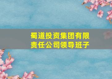 蜀道投资集团有限责任公司领导班子