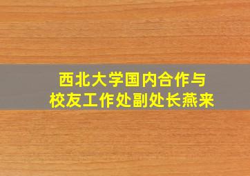 西北大学国内合作与校友工作处副处长燕来