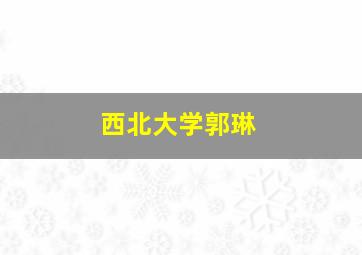 西北大学郭琳