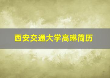 西安交通大学高琳简历