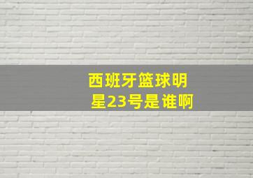 西班牙篮球明星23号是谁啊