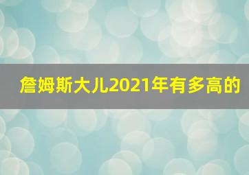 詹姆斯大儿2021年有多高的