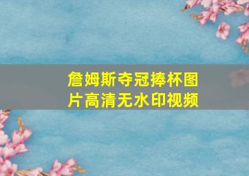 詹姆斯夺冠捧杯图片高清无水印视频