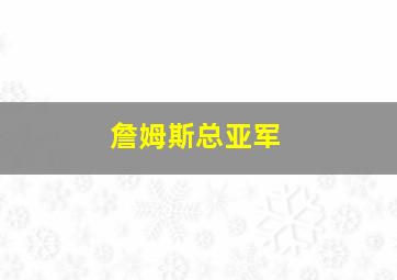 詹姆斯总亚军