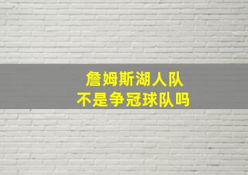 詹姆斯湖人队不是争冠球队吗