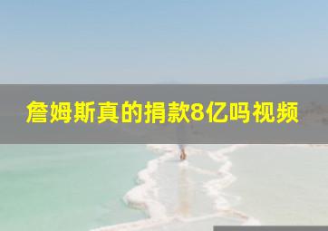 詹姆斯真的捐款8亿吗视频