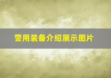 警用装备介绍展示图片