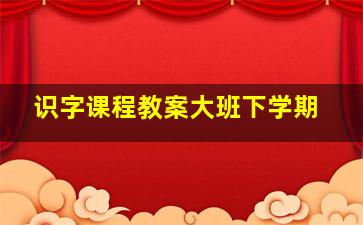 识字课程教案大班下学期