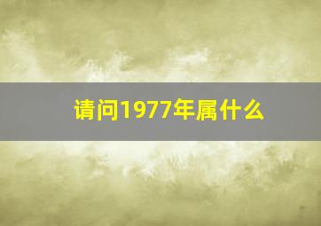 请问1977年属什么