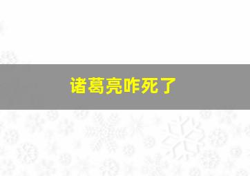 诸葛亮咋死了