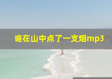 谁在山中点了一支烟mp3