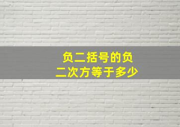 负二括号的负二次方等于多少