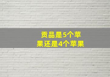 贡品是5个苹果还是4个苹果